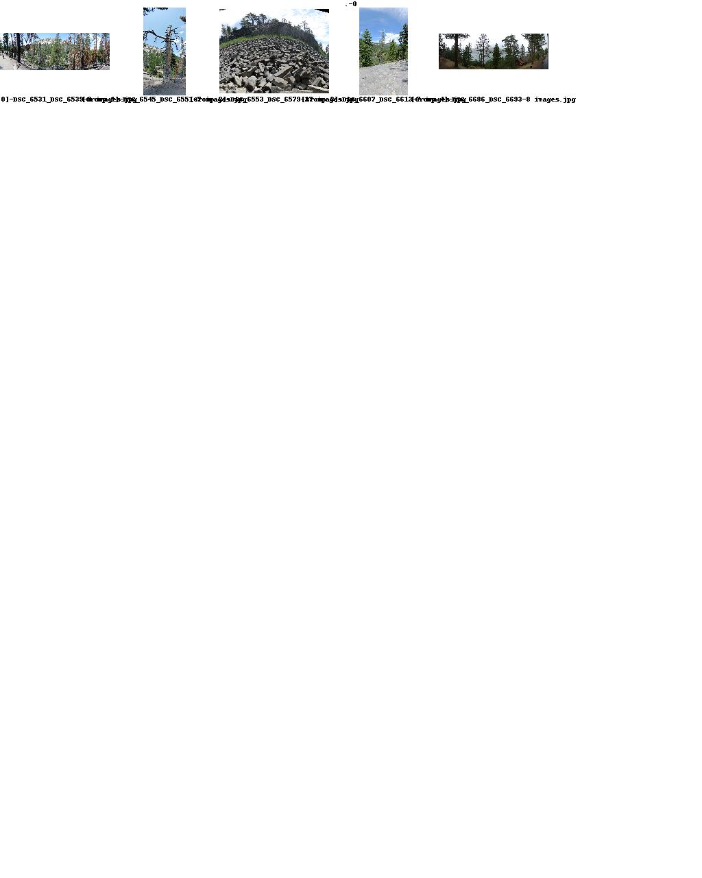 Index Image 0