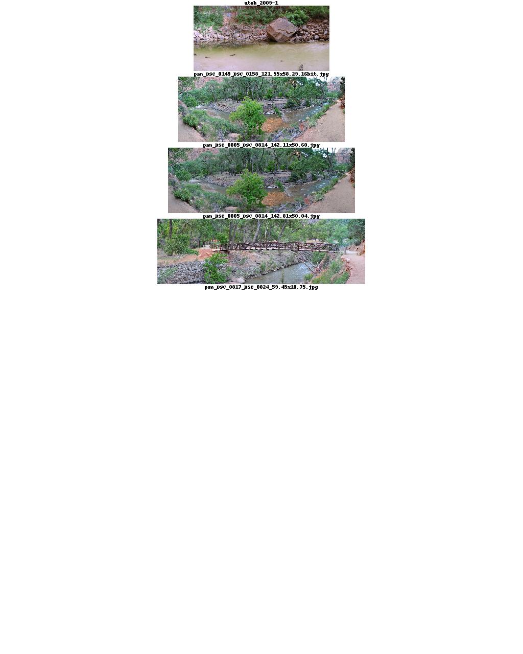 Index Image 1