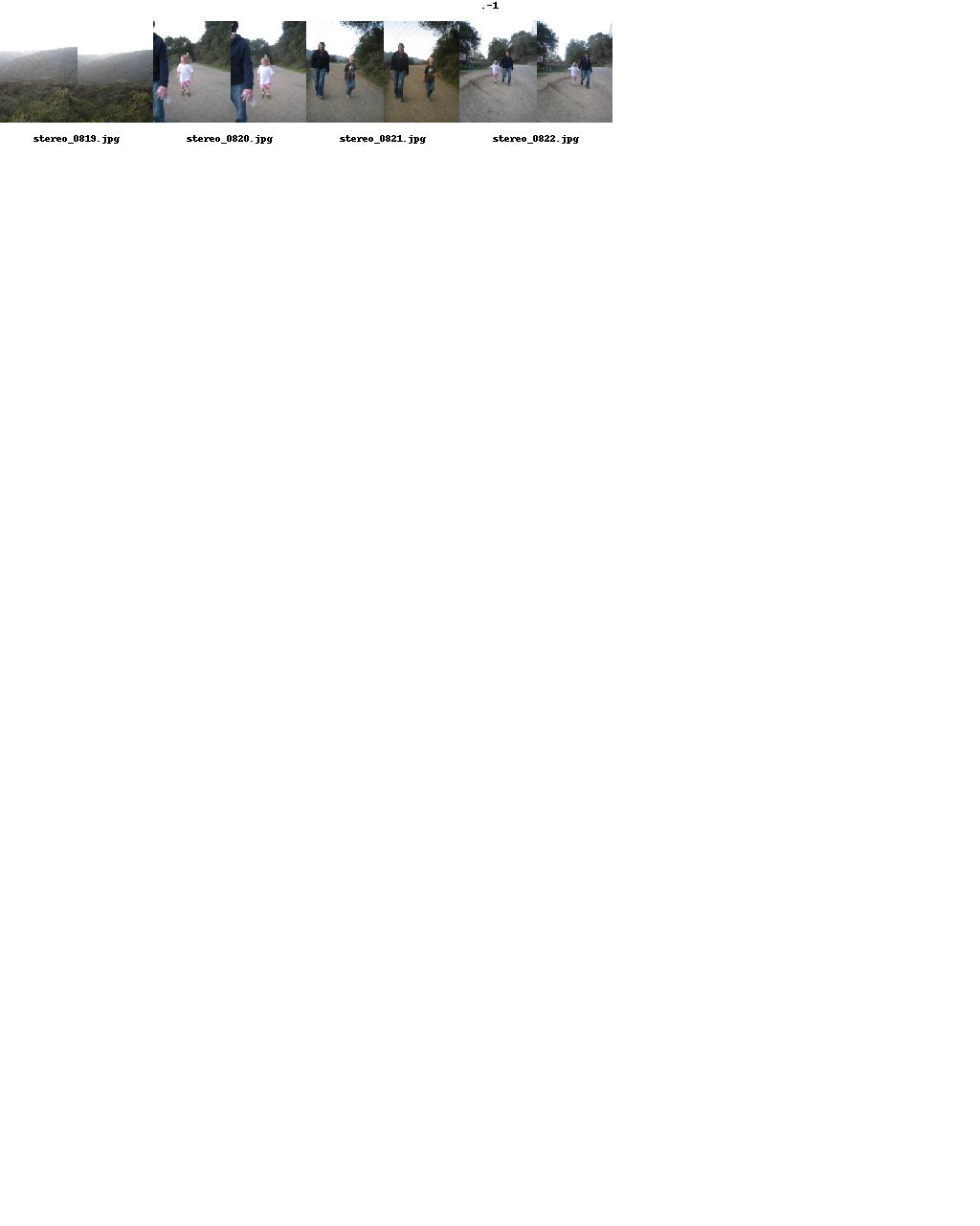 Index Image 1